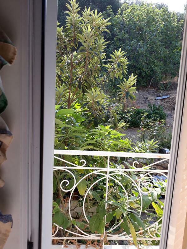 Ágios Matthaíos Villa Victoria Corfu מראה חיצוני תמונה